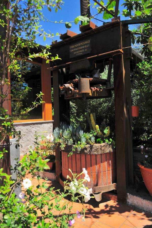B&B Casa Di Antonio_Etna Vacanze Trecastagni Kültér fotó