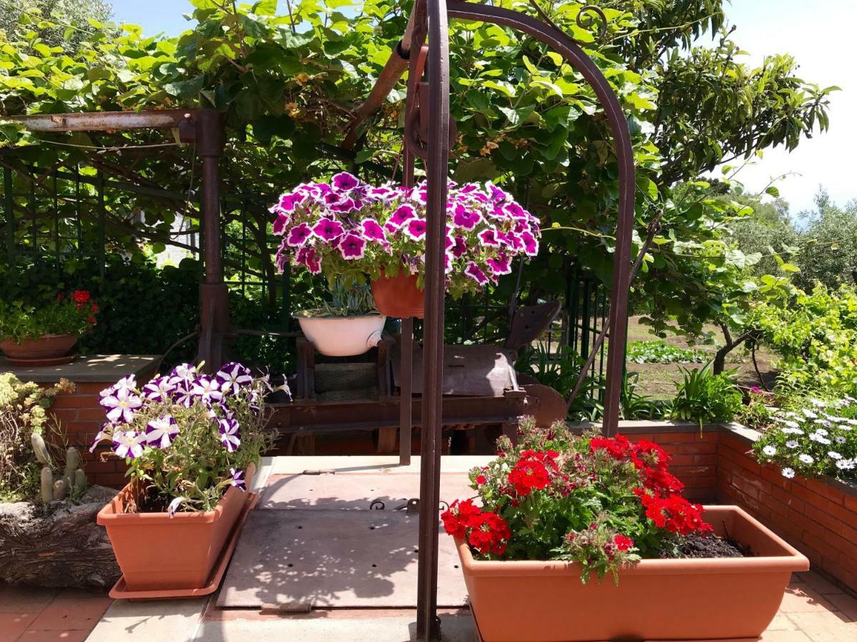 B&B Casa Di Antonio_Etna Vacanze Trecastagni Kültér fotó