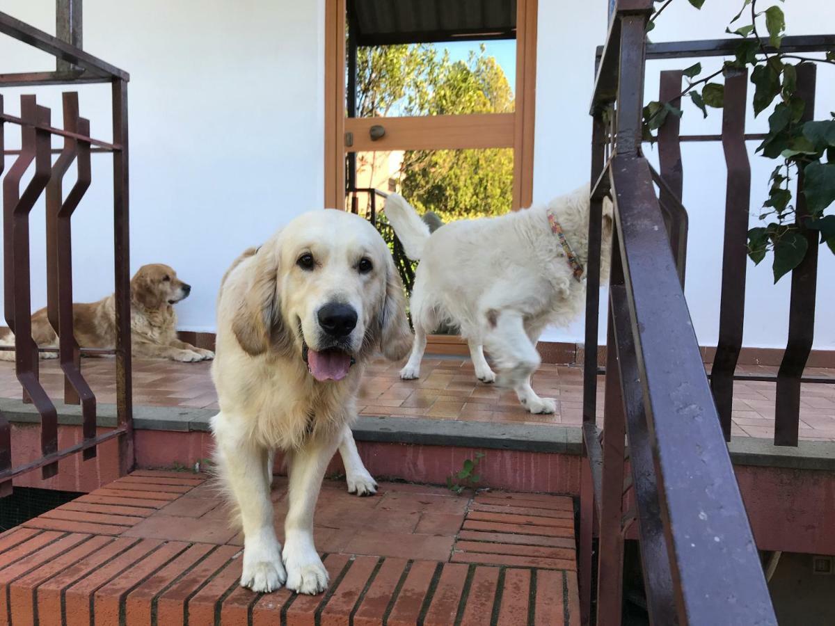 B&B Casa Di Antonio_Etna Vacanze Trecastagni Kültér fotó